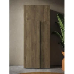 3S. x Home Armoire de couloir Jessie 2 Portes coloris chêne mercure L78 x H 187 cm Online