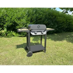 Garden Max Barbecue électrique FLAVO 50 SC Sale