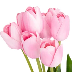 3S. x Home Bouquet 10 tulipes artificielles Satis Orange Discount