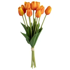 3S. x Home Bouquet de 10 tulips orange Online