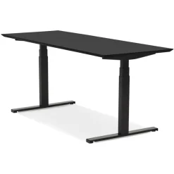 ALTEREGO Bureau assis-debout électrique avec plateau en bois et métal noir New