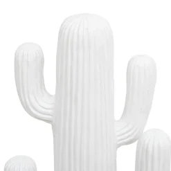 3S. x Home Cactus déco Clearance