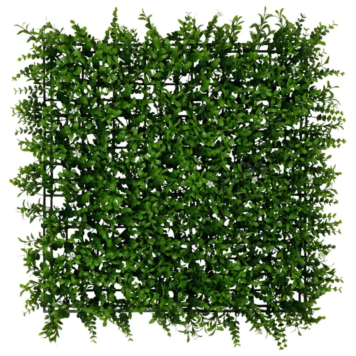 3S. x Home Carré végétal Vert New