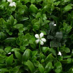 3S. x Home Carré végétal Vert New