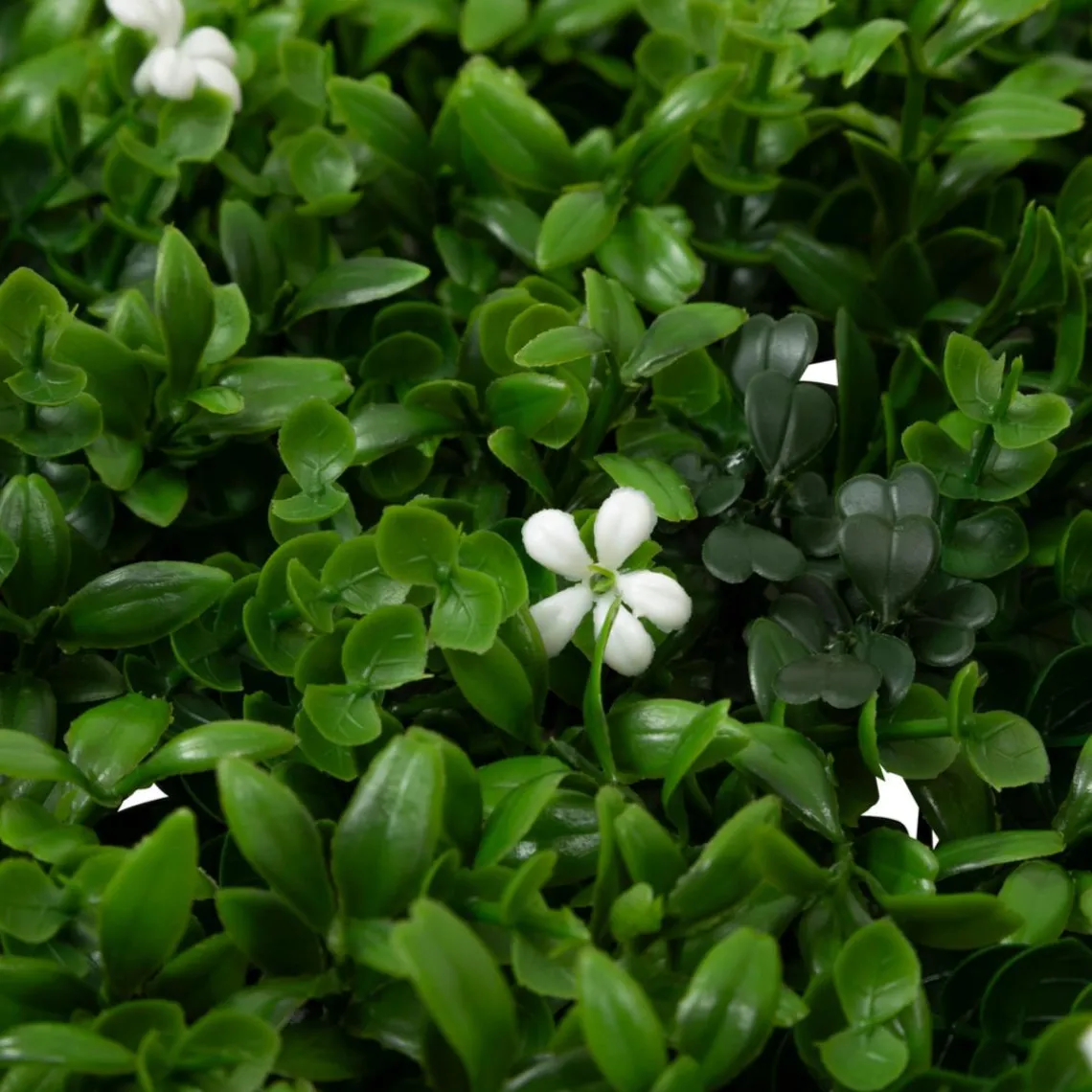 3S. x Home Carré végétal Vert New