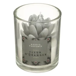 3S. x Home Coffret Cage Lola Wonderlyvoir Fleur d'Oranger Hot