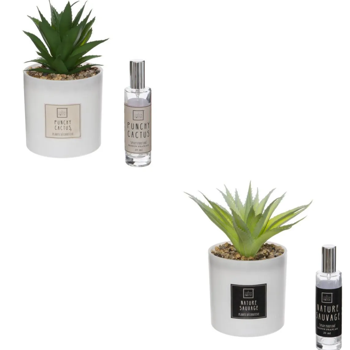 3S. x Home Coffret Senteur Cactus Outlet