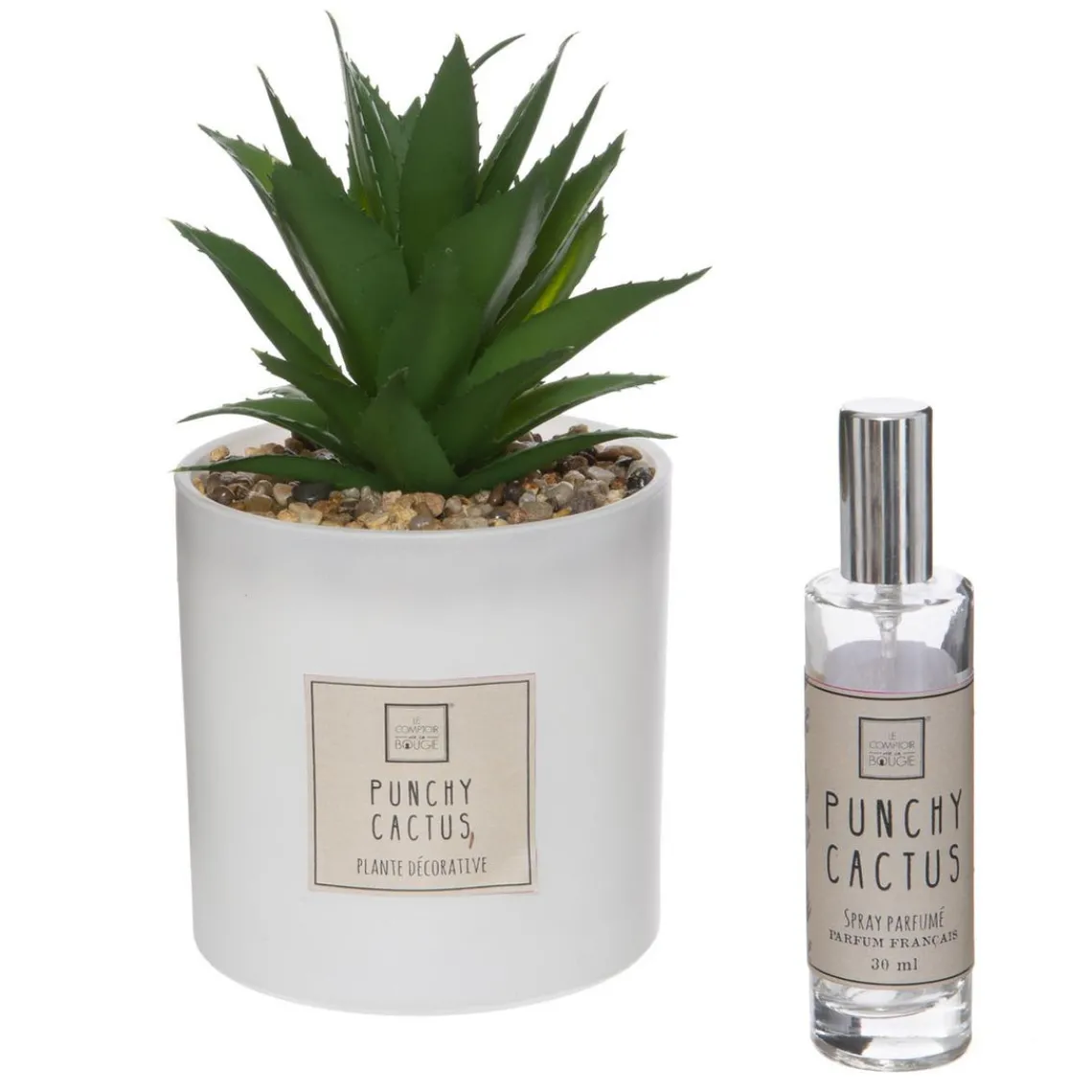 3S. x Home Coffret Senteur Cactus Outlet