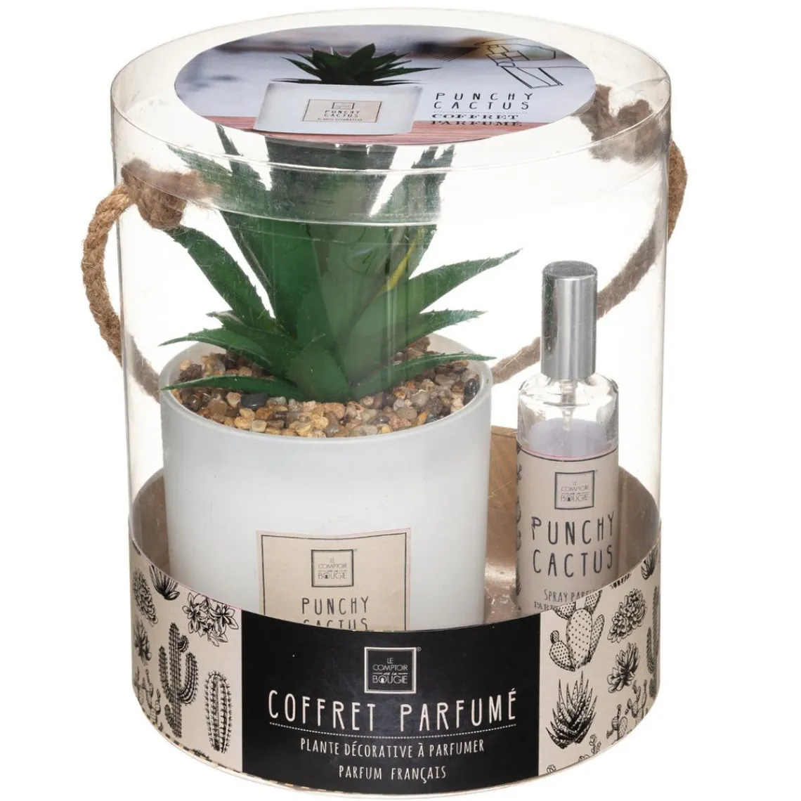 3S. x Home Coffret Senteur Cactus Outlet