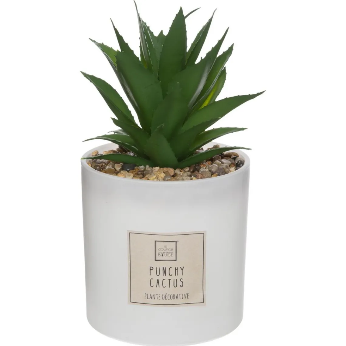3S. x Home Coffret Senteur Cactus Outlet