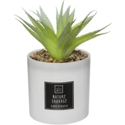 3S. x Home Coffret Senteur Cactus Outlet