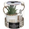 3S. x Home Coffret Senteur Cactusvoir Clearance