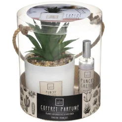 3S. x Home Coffret Senteur Cactusvoir Clearance