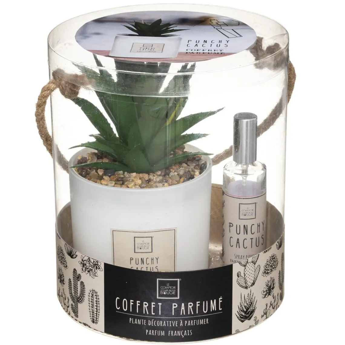 3S. x Home Coffret Senteur Cactusvoir Clearance