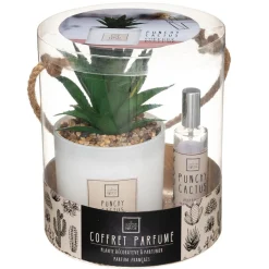 3S. x Home Coffret Senteur Cactusvoir Clearance