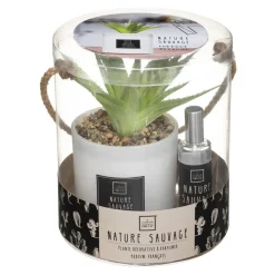 3S. x Home Coffret Senteur Cactusvoir Clearance