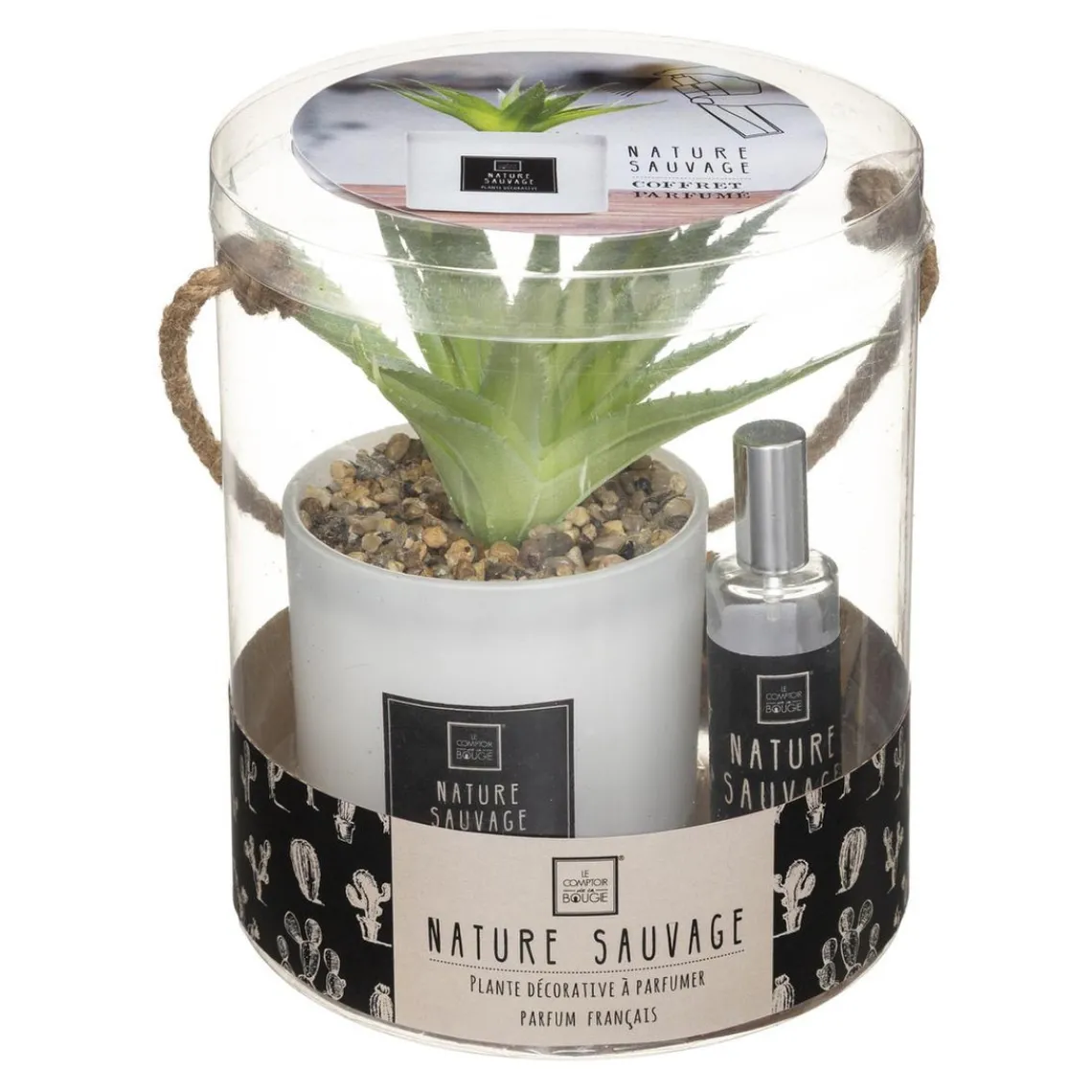 3S. x Home Coffret Senteur Cactusvoir Clearance