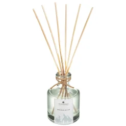 3S. x Home Coffret Senteur Wildvoir Orange Cannelle Clearance