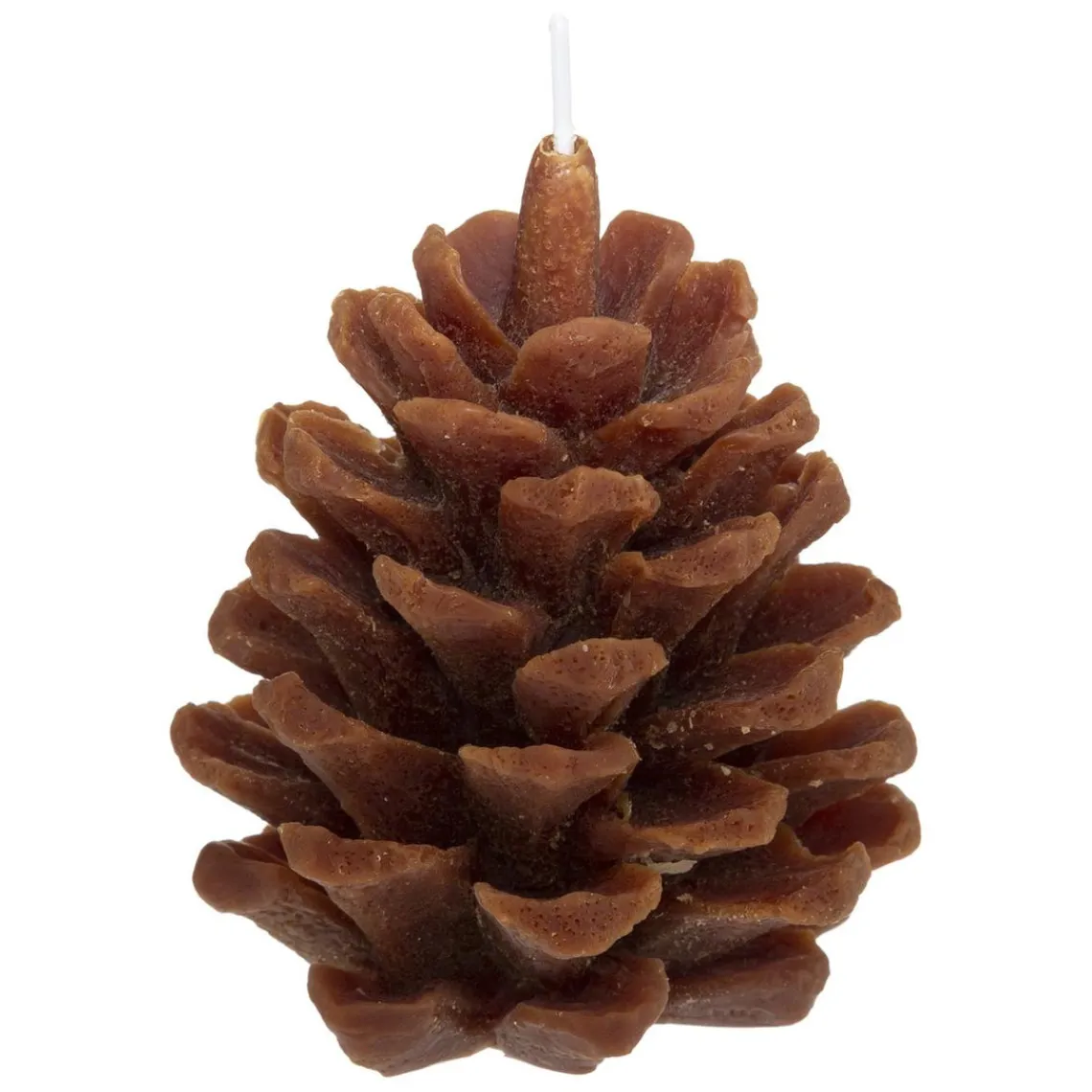 3S. x Home Coffret Senteur Wildvoir Orange Cannelle Clearance