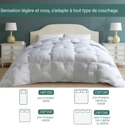 SAMPUR Couette grand froid microfibres Best