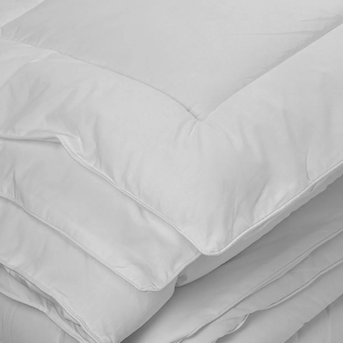 Toison d’or Couette tempérée en coton castor blanche New