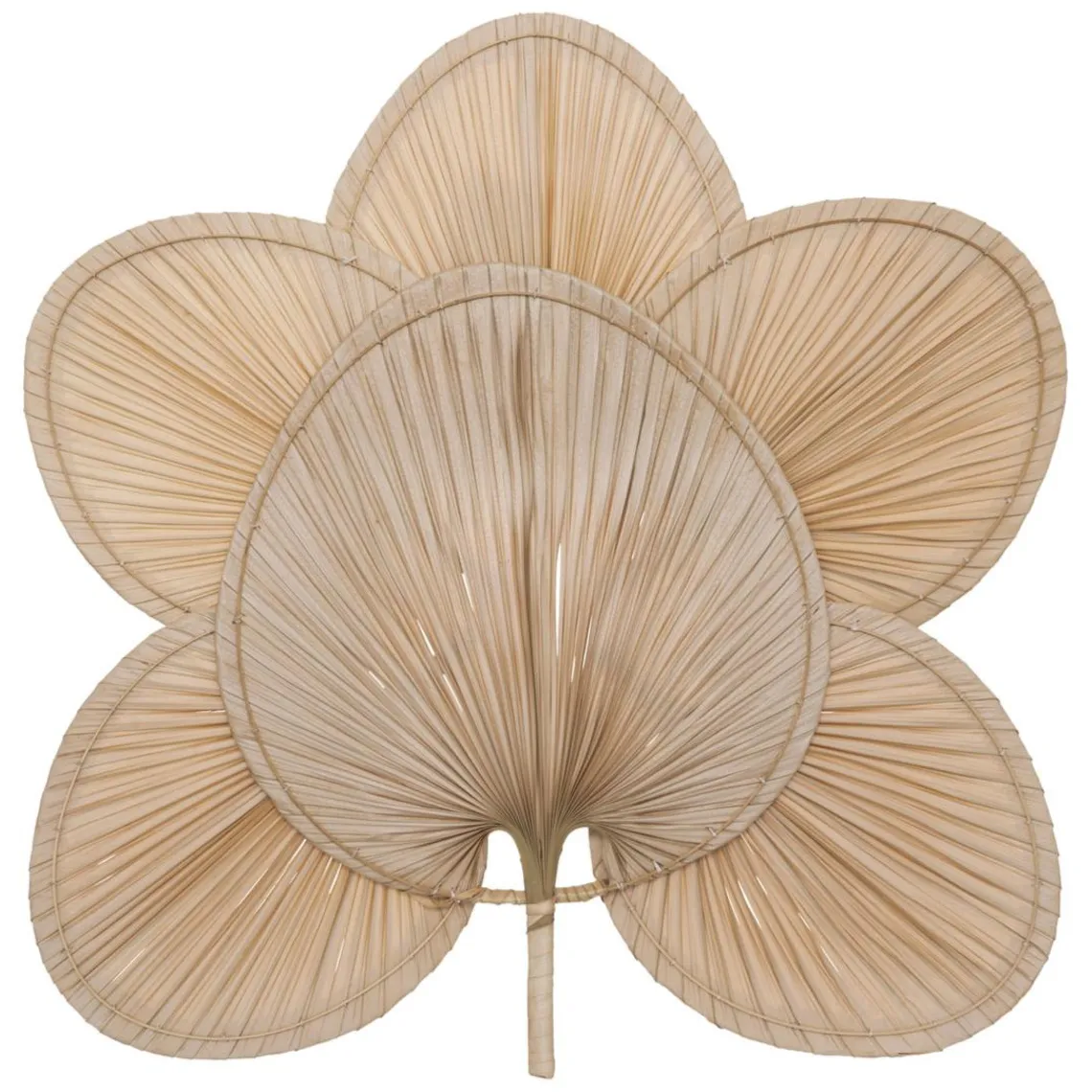 3S. x Home Déco murale Discount