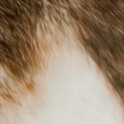 3S. x Home Décoration renne géant Online