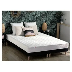 Selenia Ensemble Matelas Ressorts Fermes biconiques SPECTOS + Sommier Made in France - Sommier Noir Clearance