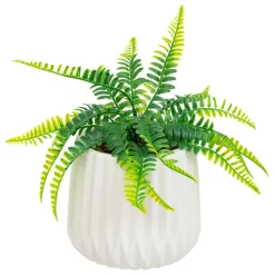 3S. x Home Fougère en Pot Céramique Blanc Paro Best