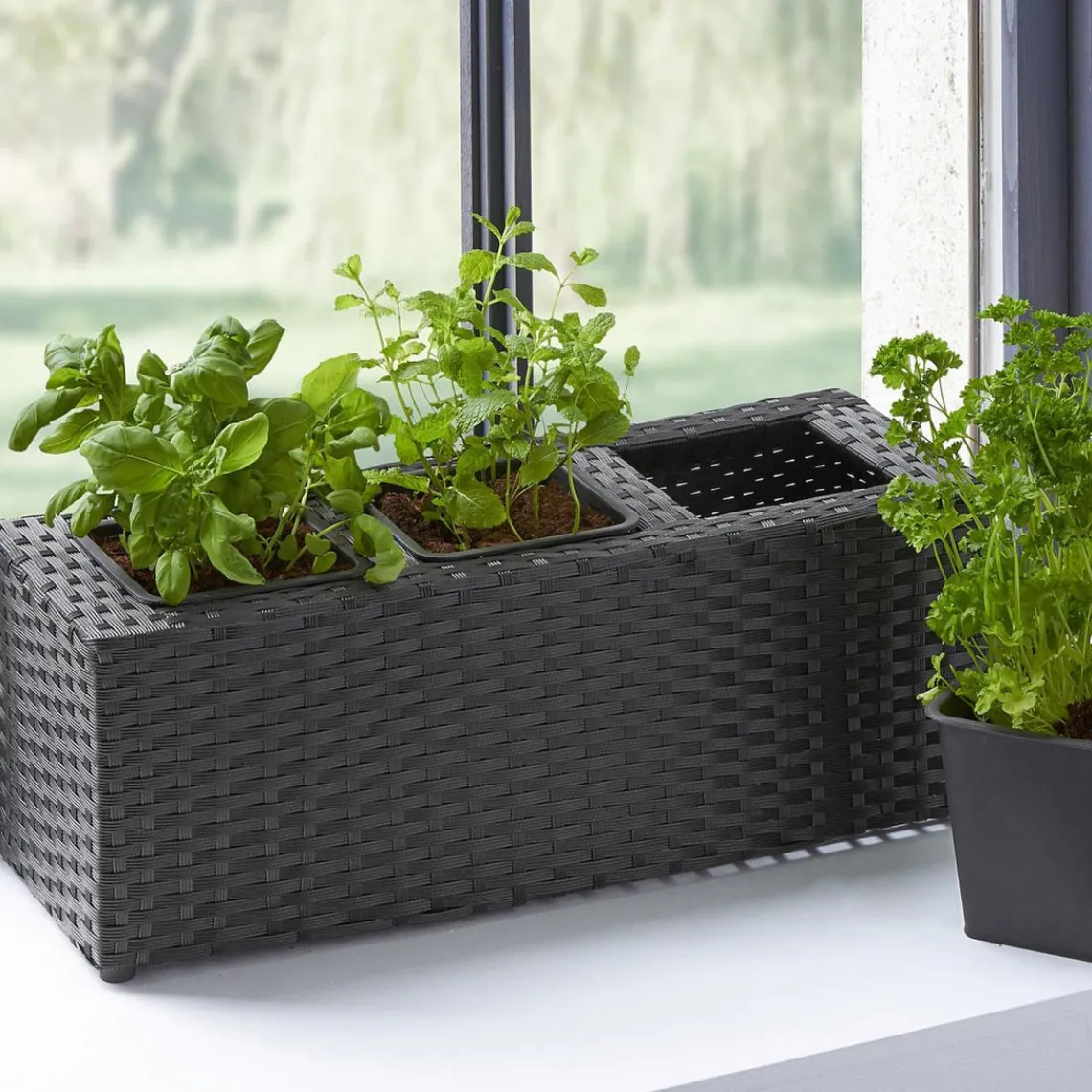 Becquet Jardinière herbes aromatiques en résine tressée Online