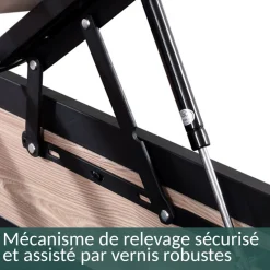 SAMPUR Lit coffre boston bois clair Discount