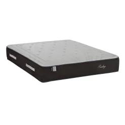 Bellecour Matelas Ressorts ensachés & Mémoire de forme PRIVILEGE Simple ep 30 cm - Compressé roulé Best