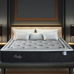 Bellecour Matelas Ressorts ensachés & Mémoire de forme PRIVILEGE Simple ep 30 cm - Compressé roulé Best