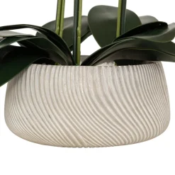 3S. x Home Orchidée artificielle en pot Outlet