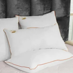 SAMPUR Oreiller 100% plume Discount