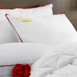 SAMPUR Oreiller 100% plume Discount