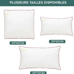 SAMPUR Oreiller 100% plume Discount