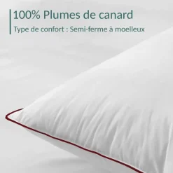 SAMPUR Oreiller 100% plume Discount