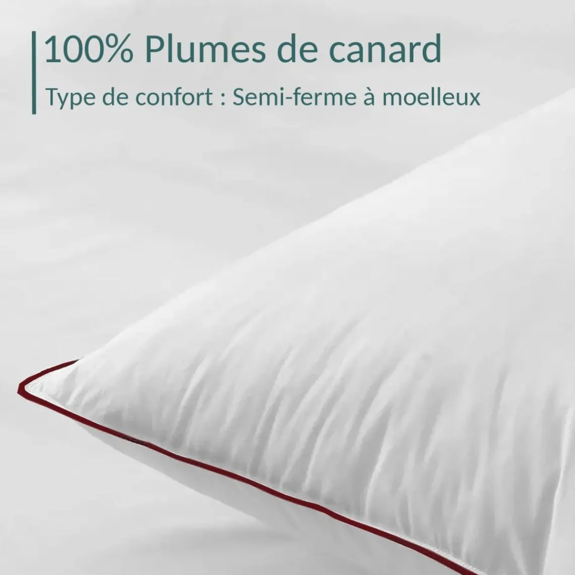 SAMPUR Oreiller 100% plume Discount