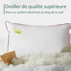 SAMPUR Oreiller 100% plume Discount