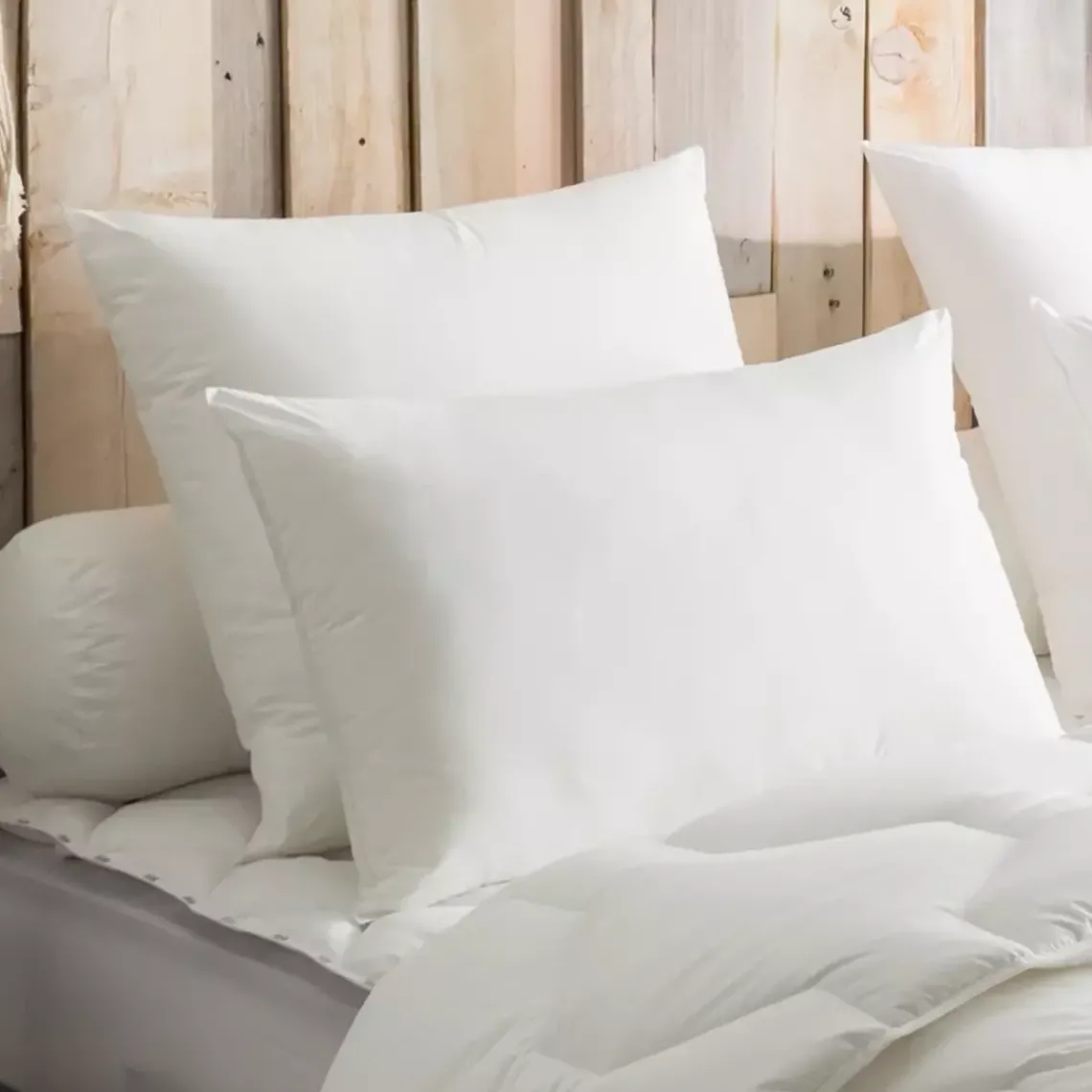 Dodo Oreiller Ferme Anti-Acariens