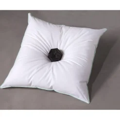 Becquet Oreiller Moelleux Antitranspiration Online