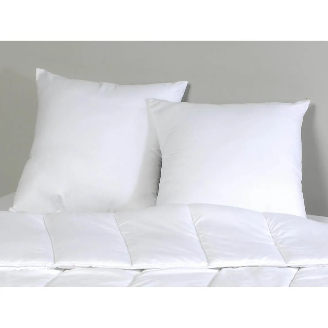 Selenia Oreiller Moelleux CONFORT Sélenia 60x60 cm Hot