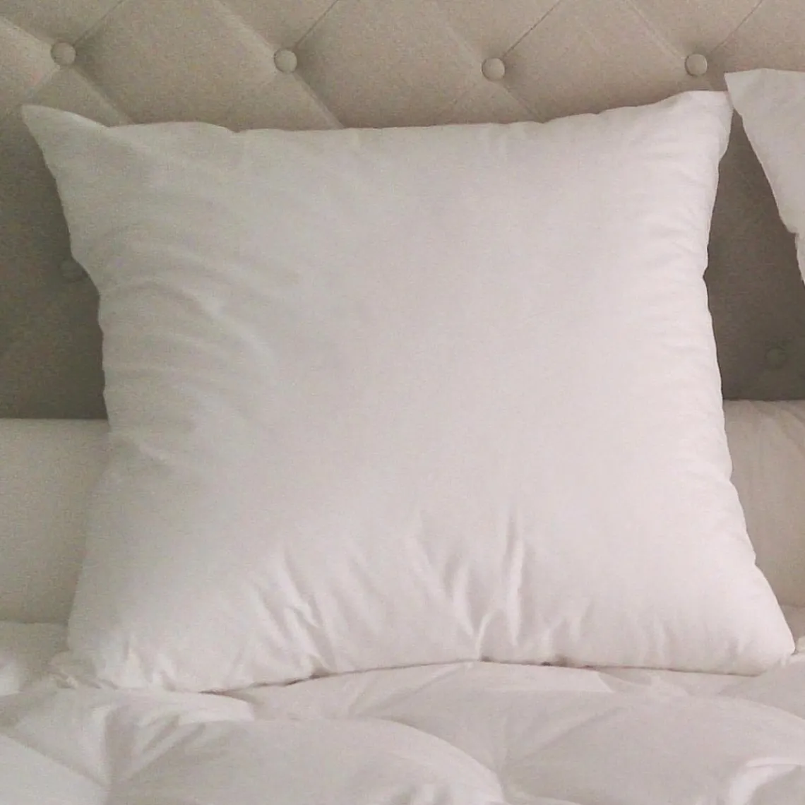 Selenia Oreillers 100% plumettes GENALI Best