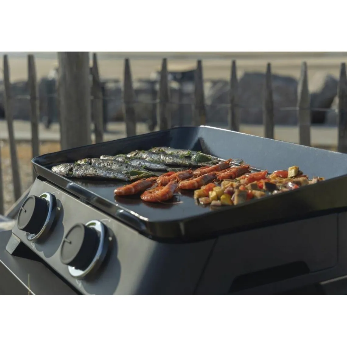 Cook'In Garden Pack Plancha gaz avec Housse pour barbecue et plancha et Kit pour cuisson plancha Online