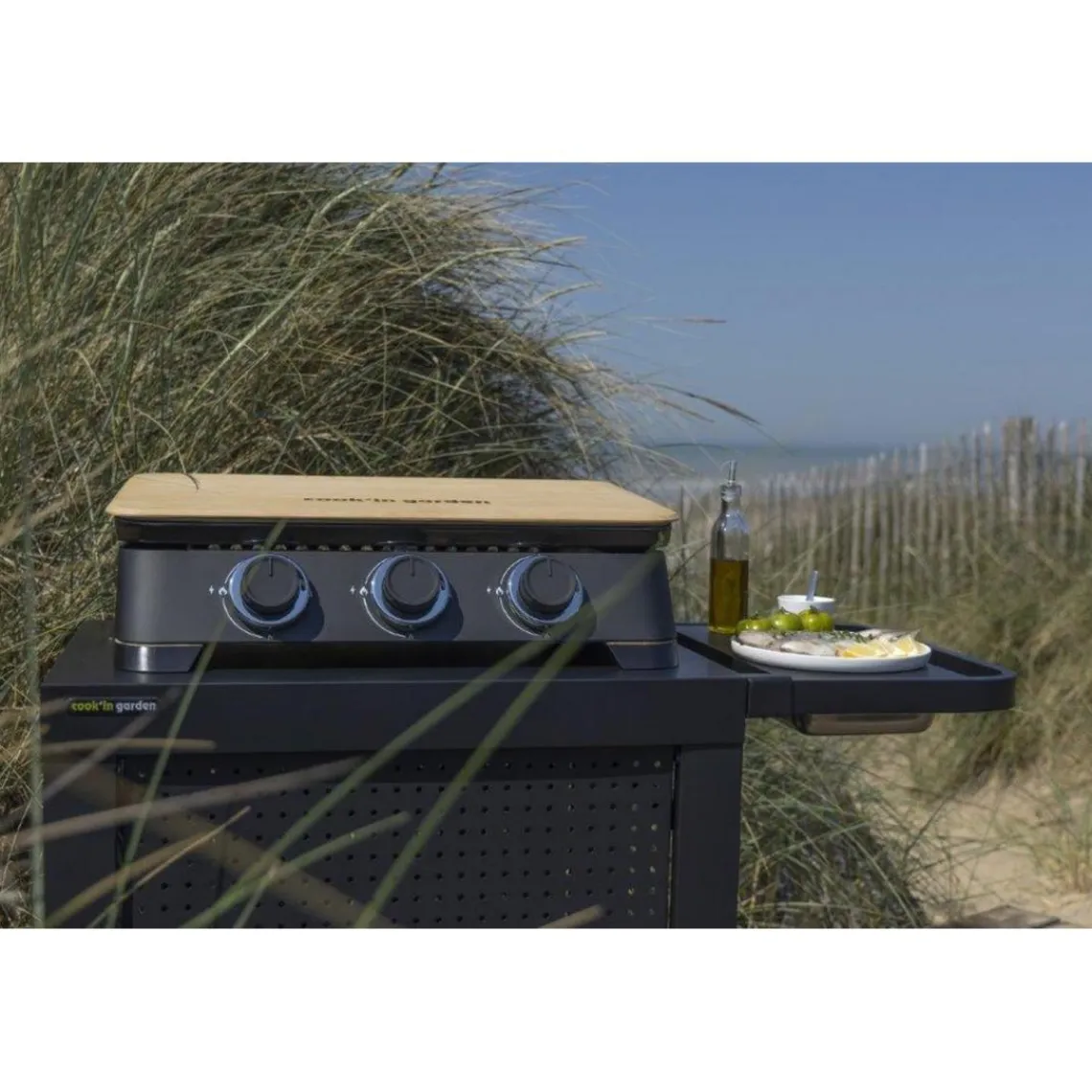 Garden Max Plancha gaz DUNE 70 Hot