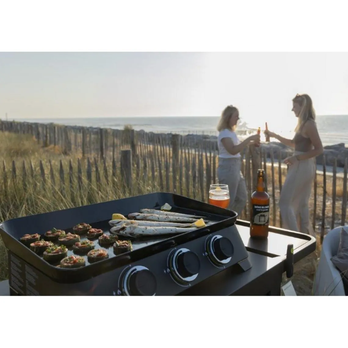 Garden Max Plancha gaz DUNE 70 Hot