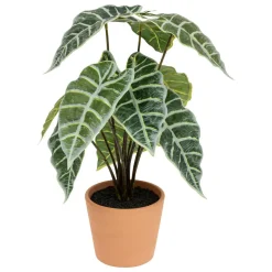 3S. x Home Plante Artificielle Alocasia Sale