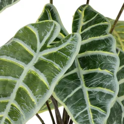 3S. x Home Plante Artificielle Alocasia Sale