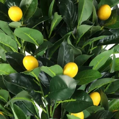 3S. x Home Plante Artificielle Citronnier 120cm Hot